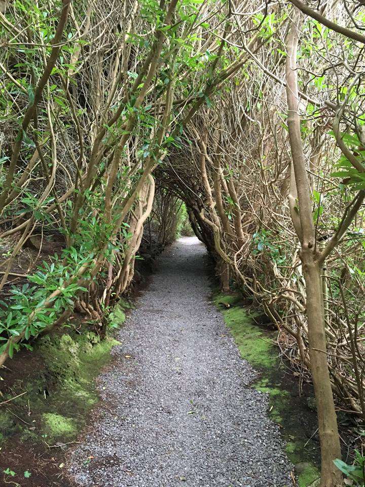 Carrig Country House & Restaurant Killorglin Fasilitas foto